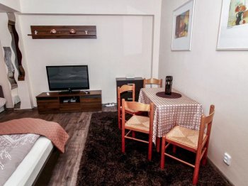 Apartment Lanovka